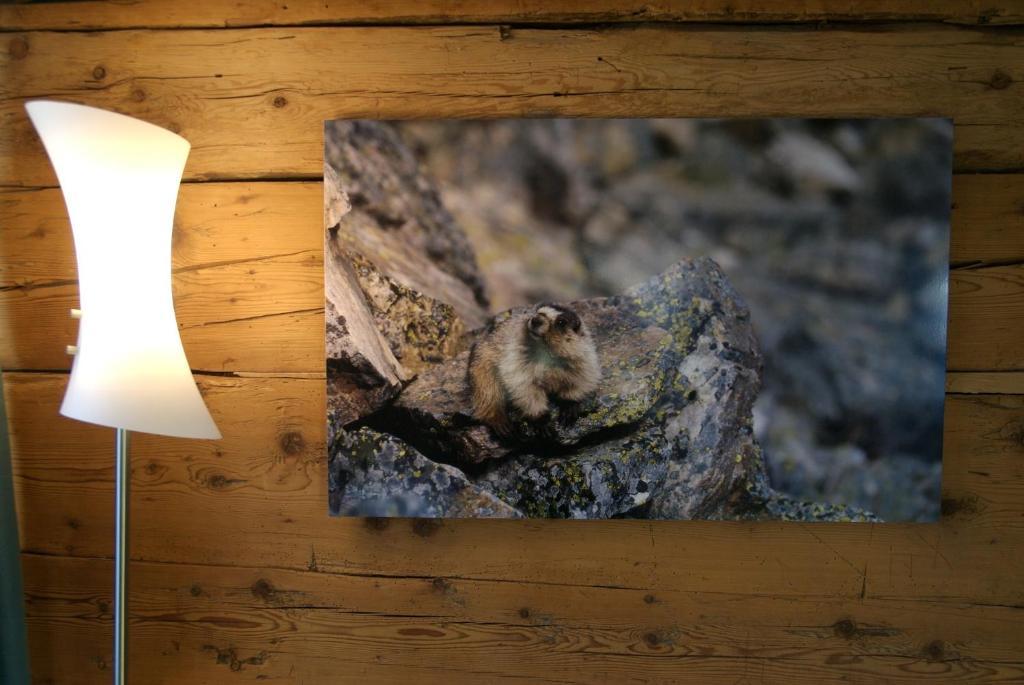 Boutique Hotel The River House Andermatt Δωμάτιο φωτογραφία
